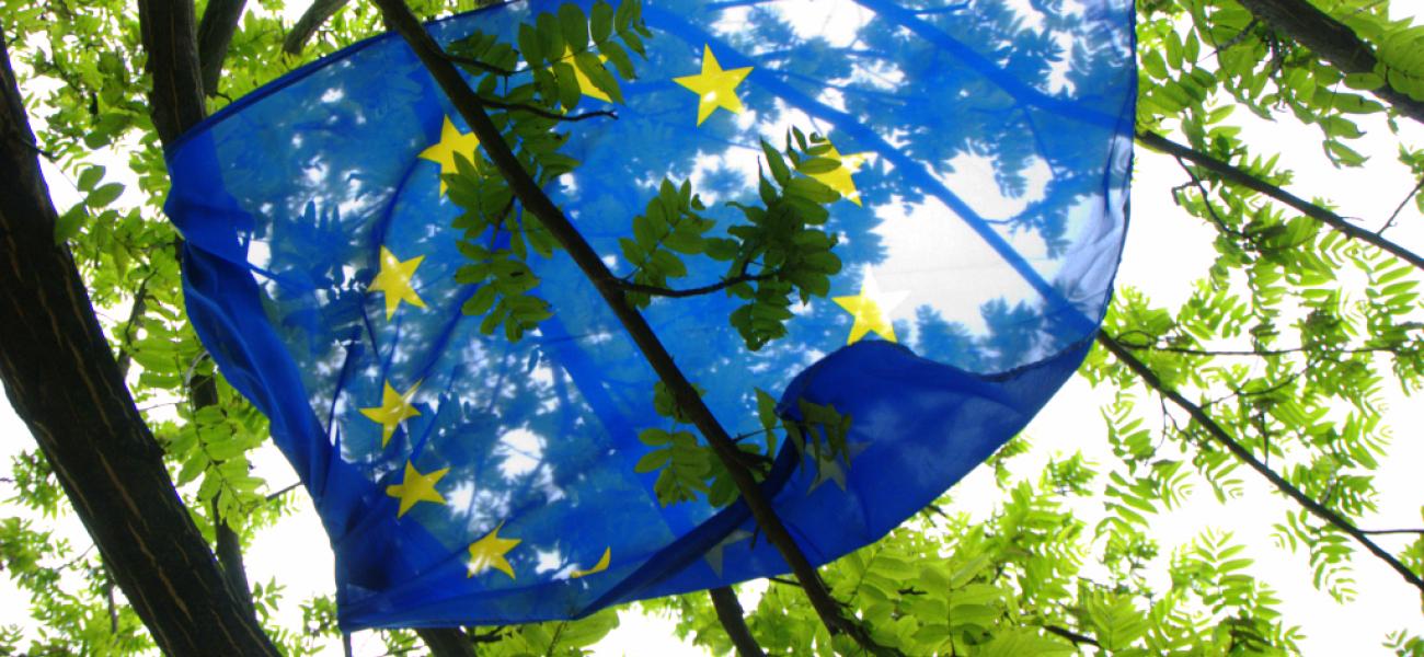 EU flag against branches. 