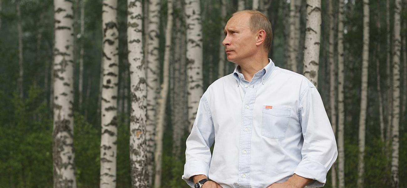 Putin amid birches
